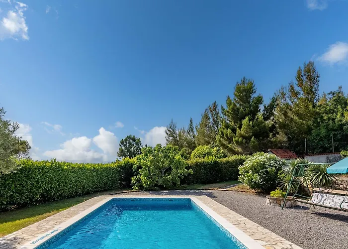 Tiny House With Private Pool - Happy *